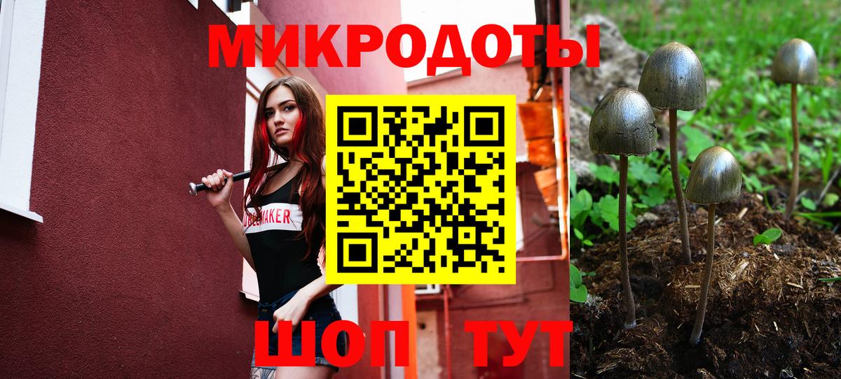 Галлюциногенные грибы ЛСД  Галлюциногенные грибы мухоморы  Бердск  Вход с VPN 